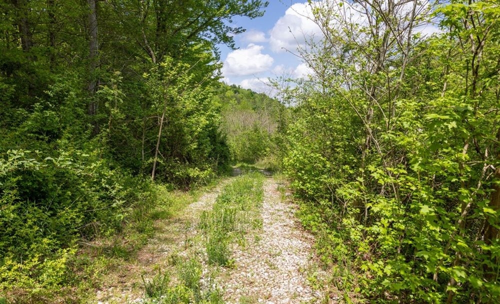 property-image-5