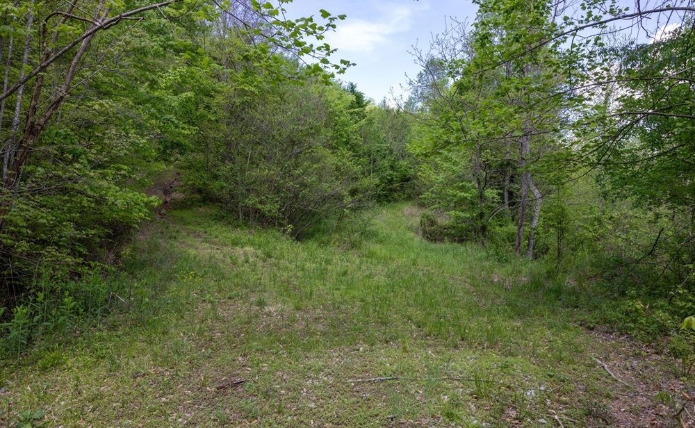 property-image-7