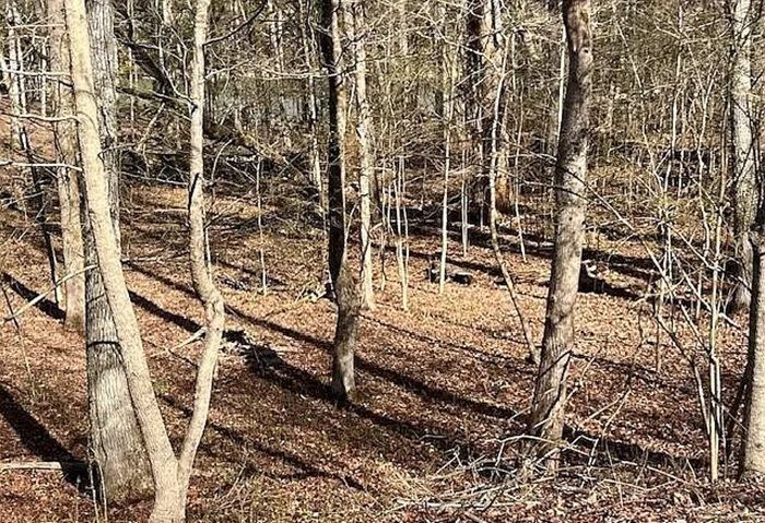property-image-5