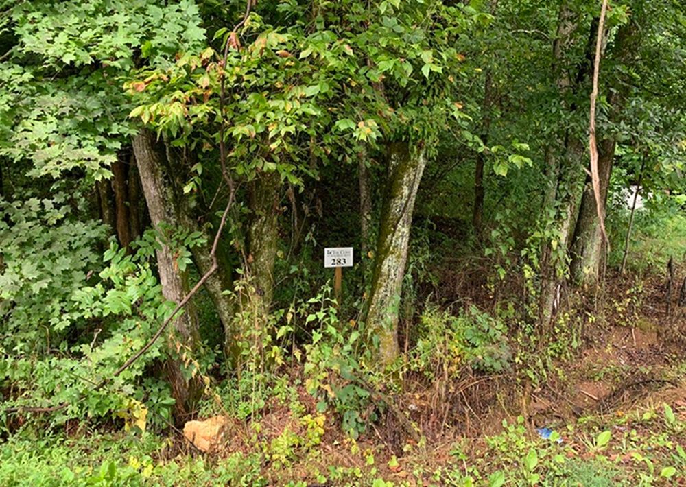 Lot 283/ 4485 Huffine Road