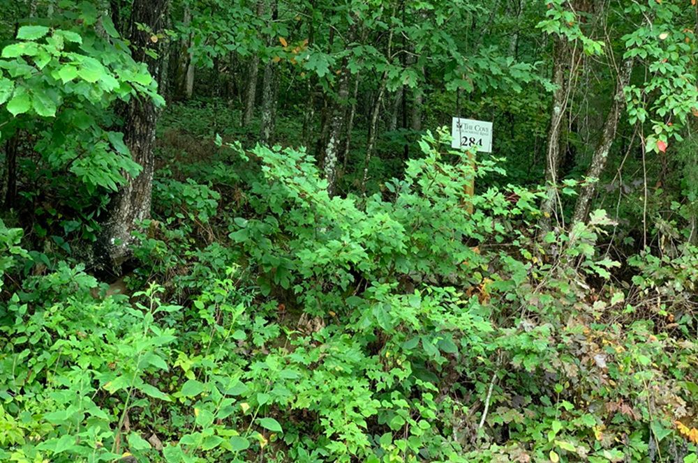 Lot 284/ 4507 Huffine Road