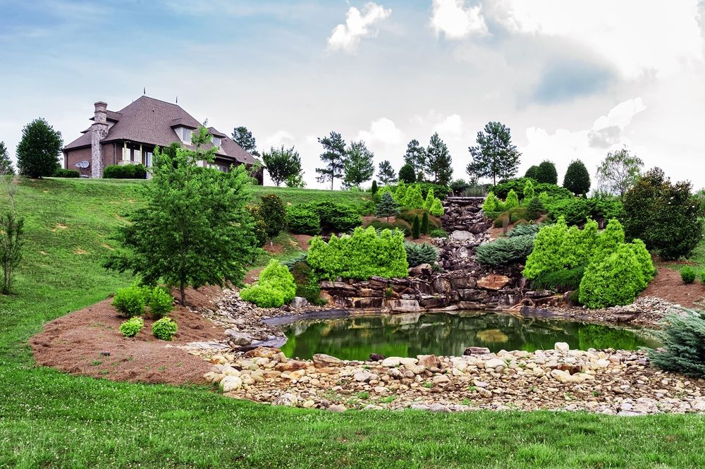 property-image-3