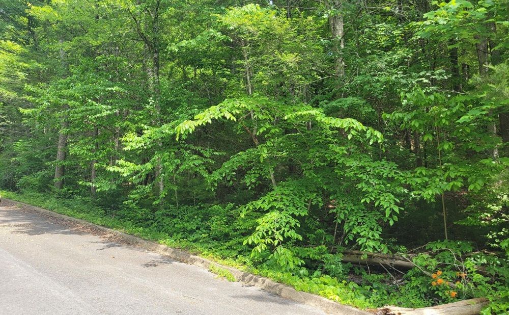 property-image-3
