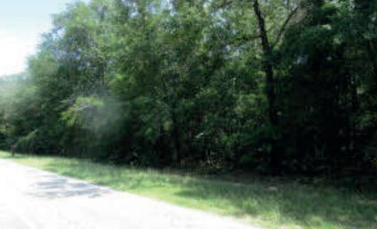 1436 Hephzibah Mcbean Road