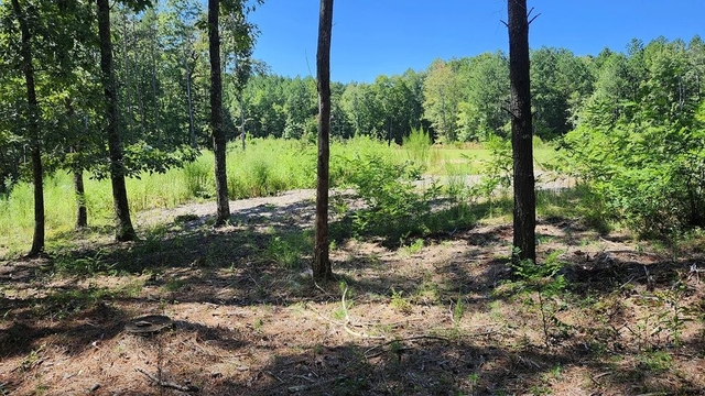 property-image-2
