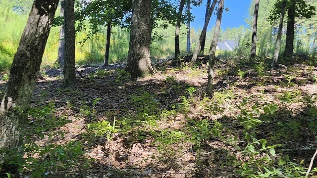 property-image-3