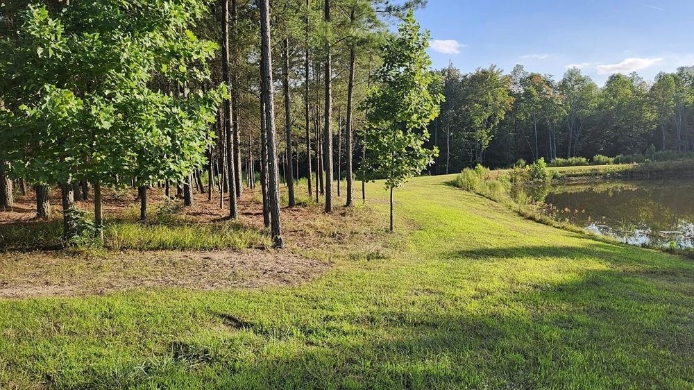 property-image-7