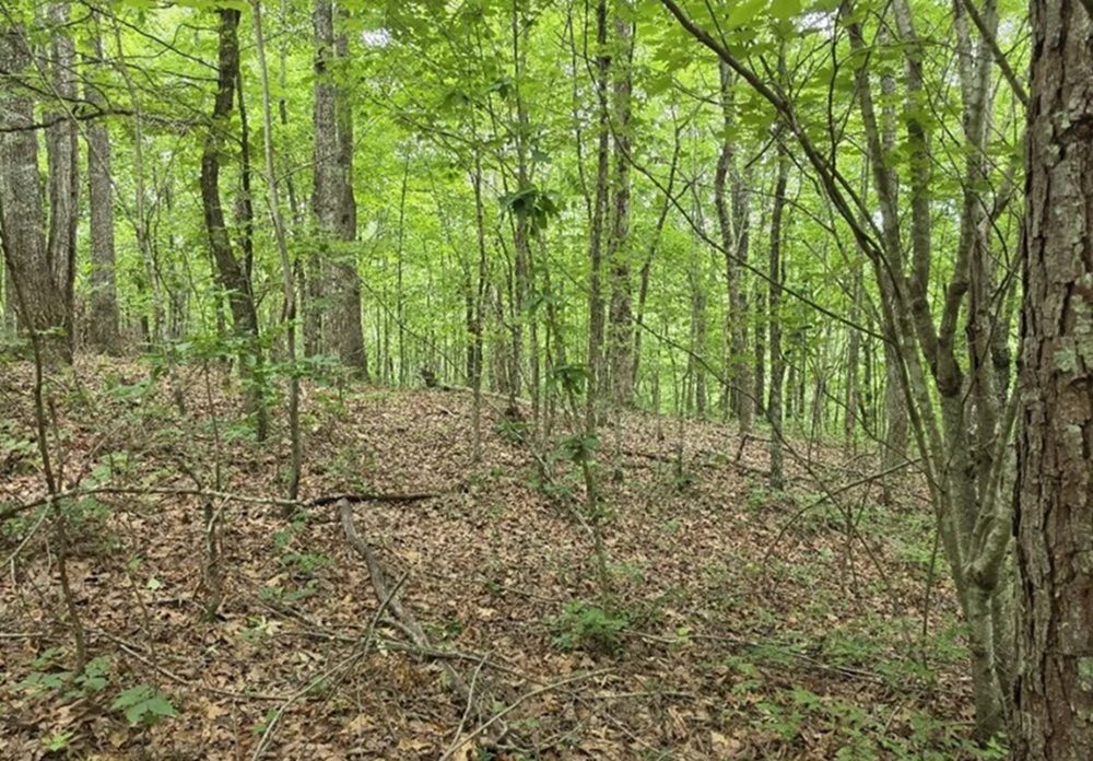 205 Poplar Bend (Lot 553)