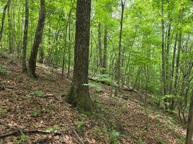 property-image-3