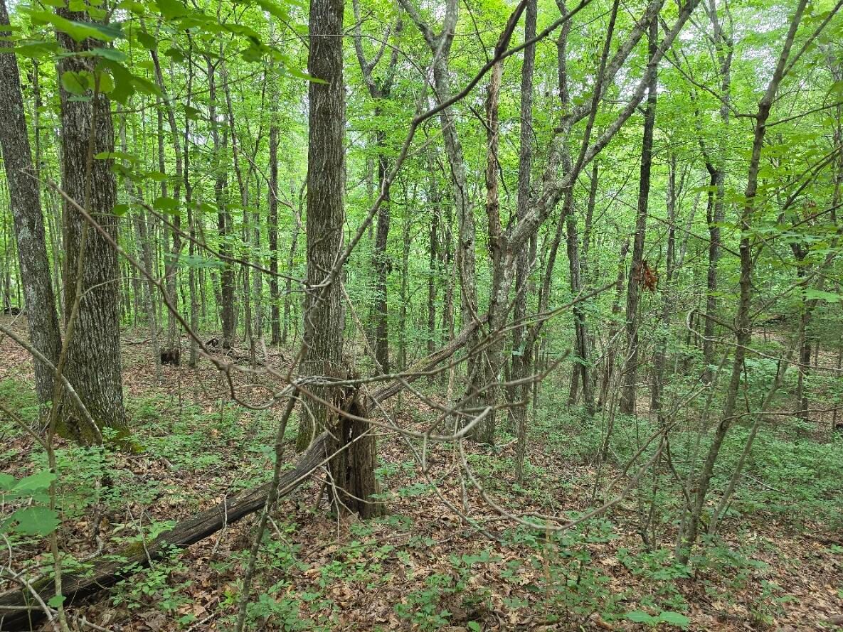 property-image-6