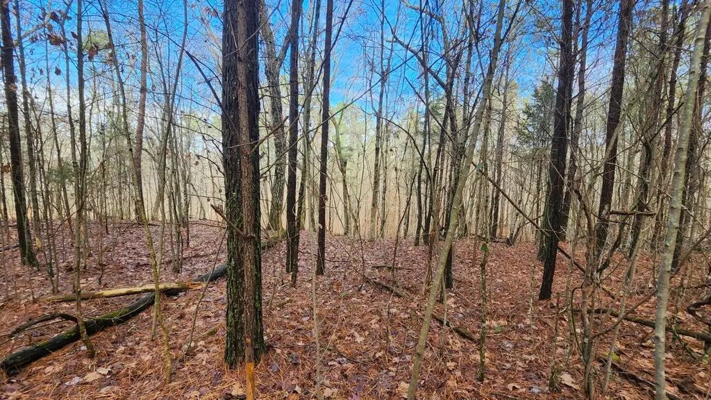 0 Crockett Pointe (Lot 561)