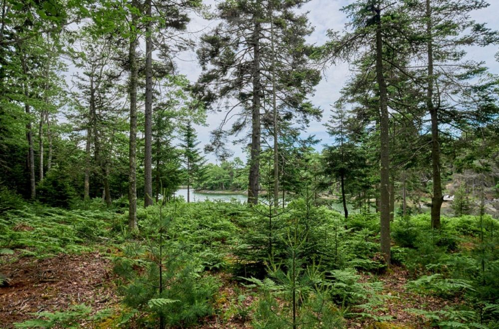 property-image-6