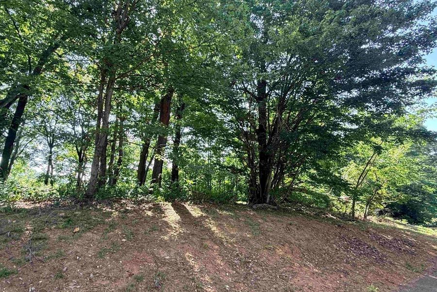 property-image-2