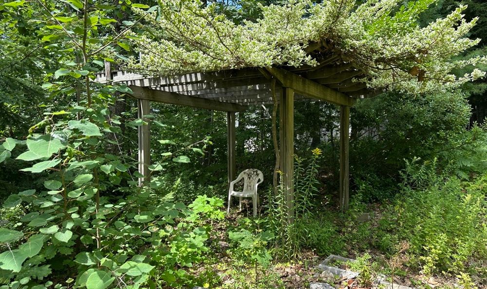 property-image-2