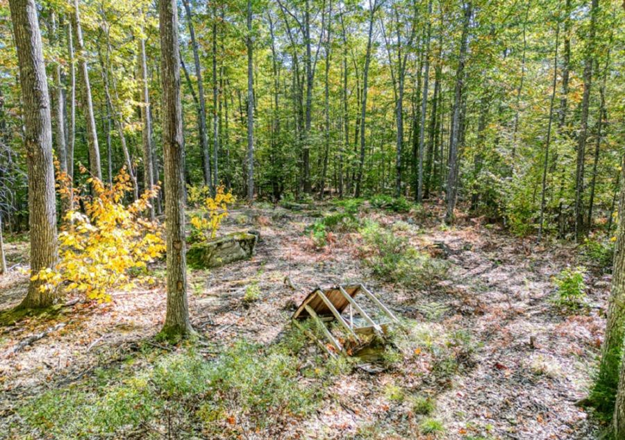 property-image-6