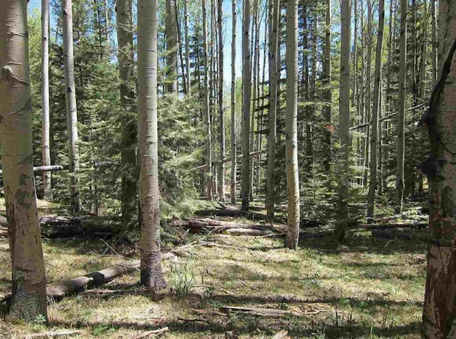 property-image-2