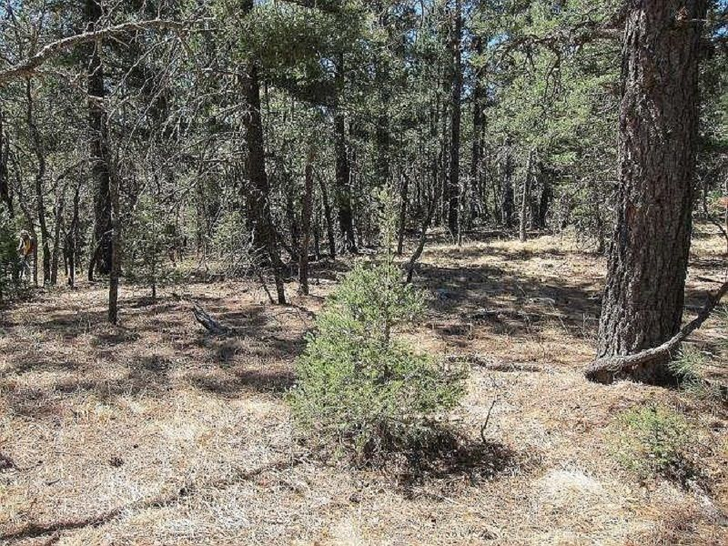 property-image-5