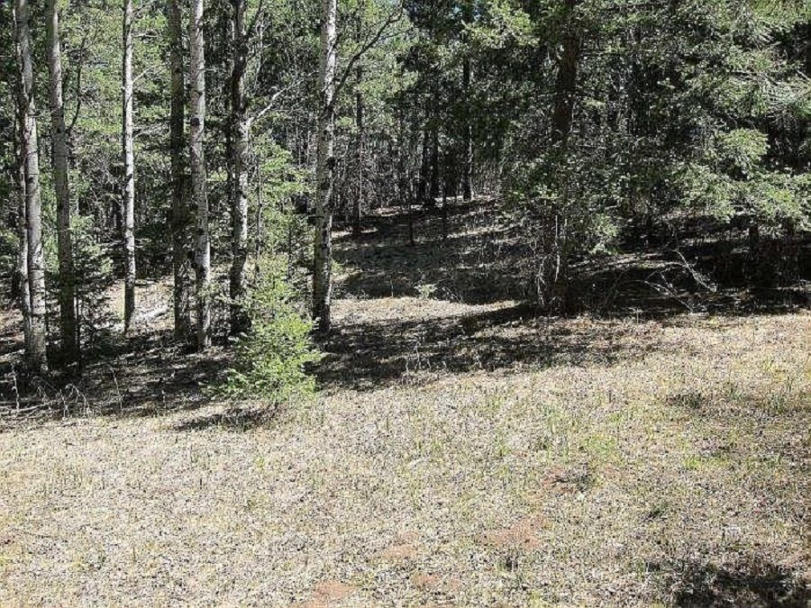 property-image-7