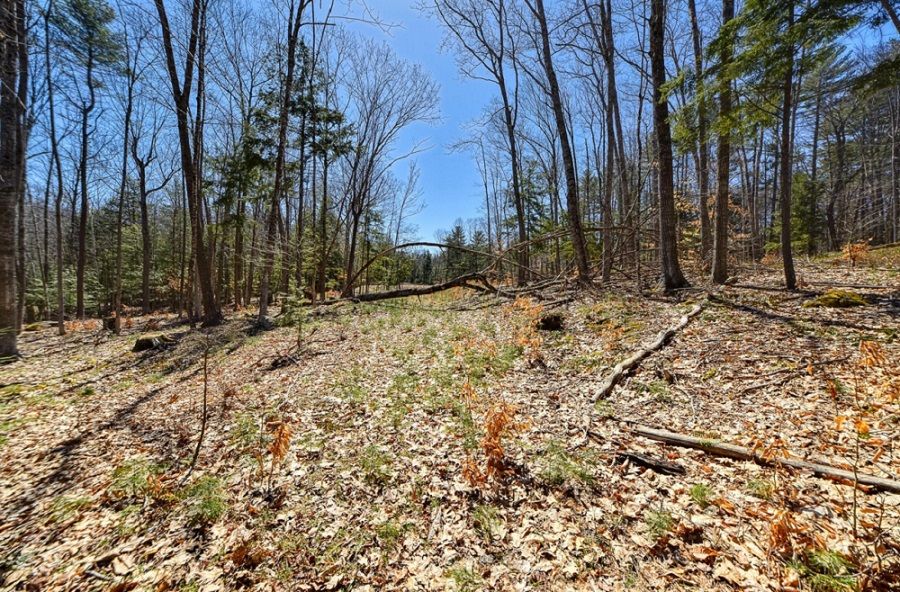 property-image-2