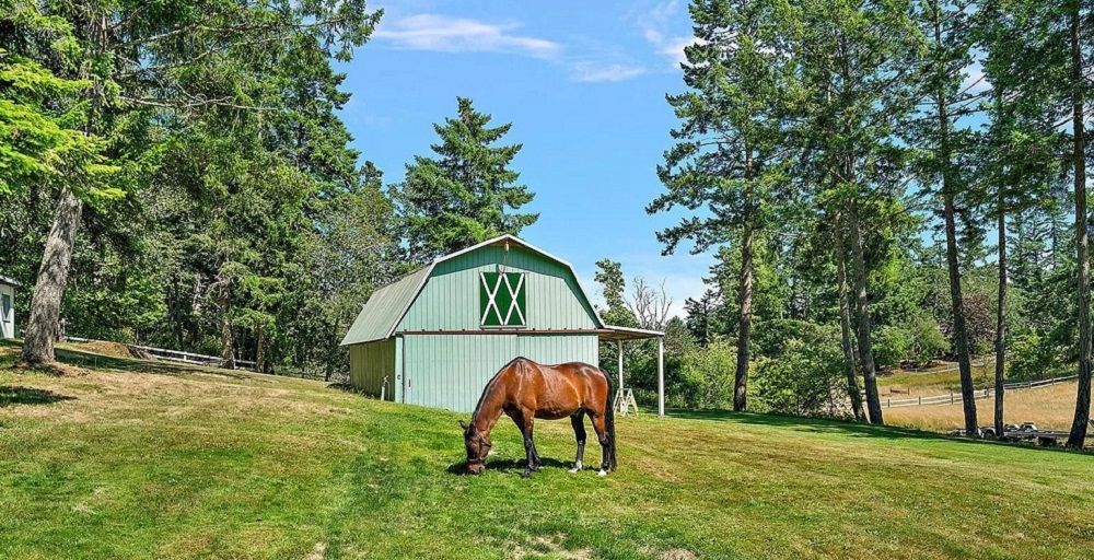 Pastoral Paradise