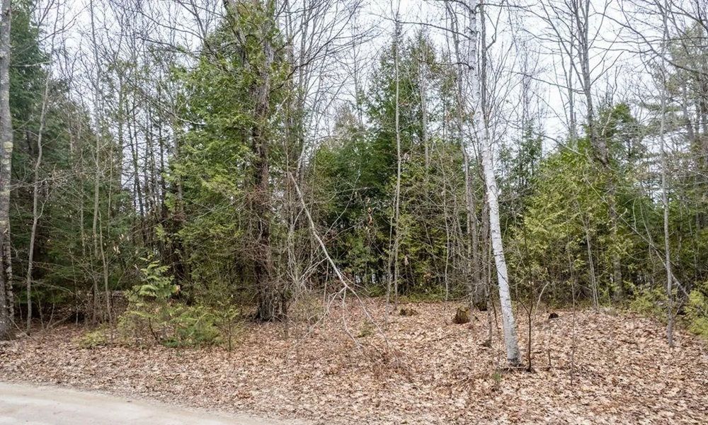 property-image-4