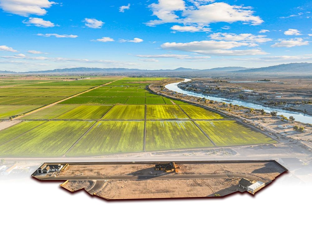 Border Way, Willow Valley