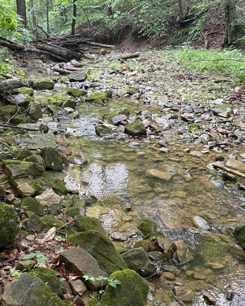 Your private Kentucky retreat awaits • Gated • Private • Scenic • Adventure