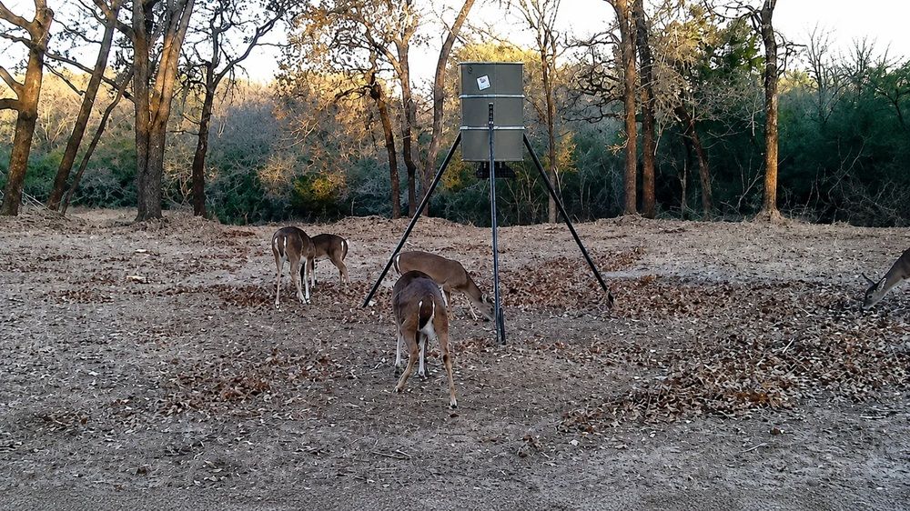 Wildwood Ranches Tract 3