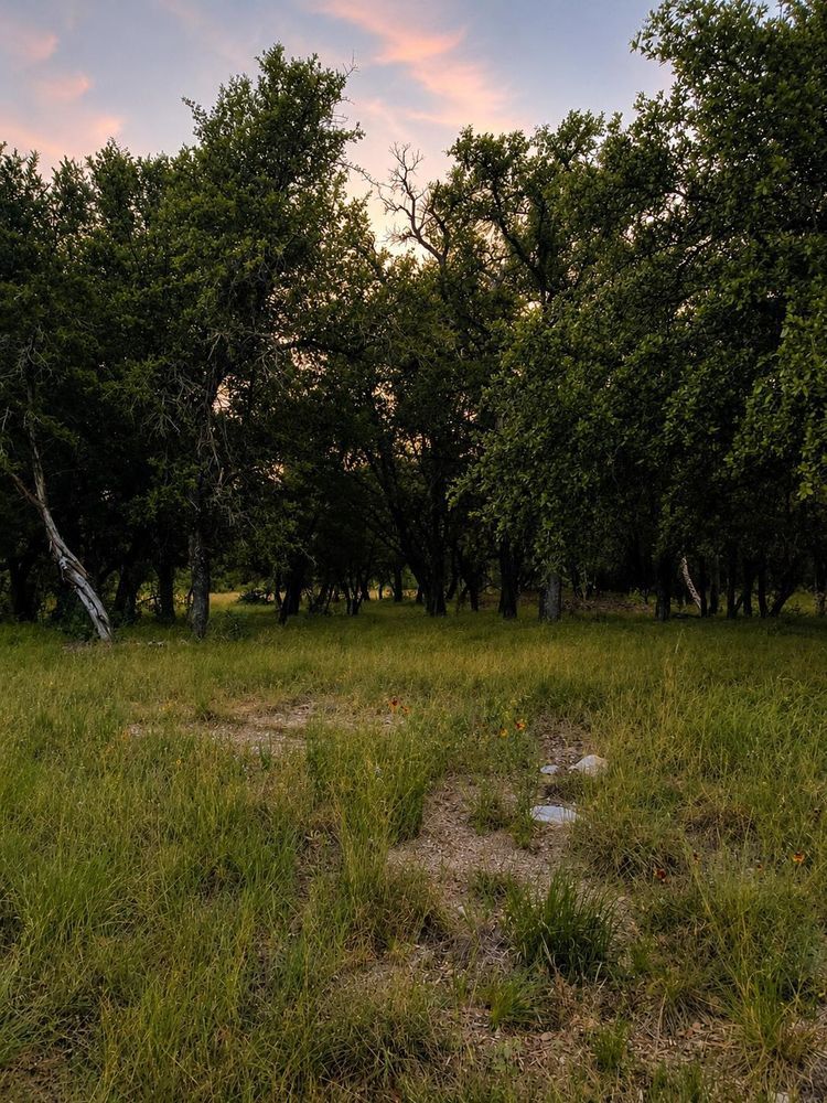 property-image-6
