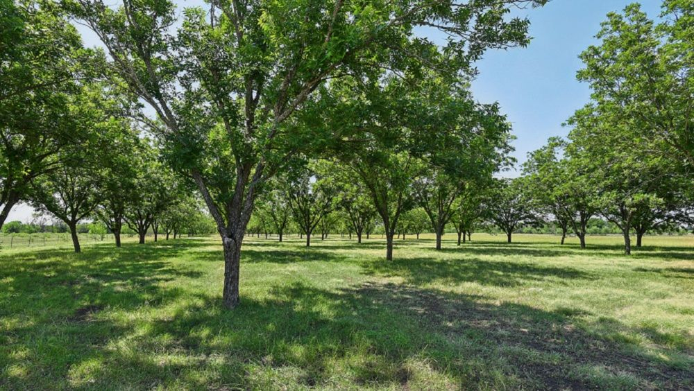 property-image-6