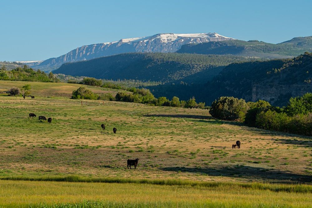 744 Acres Of Colorado Legacy