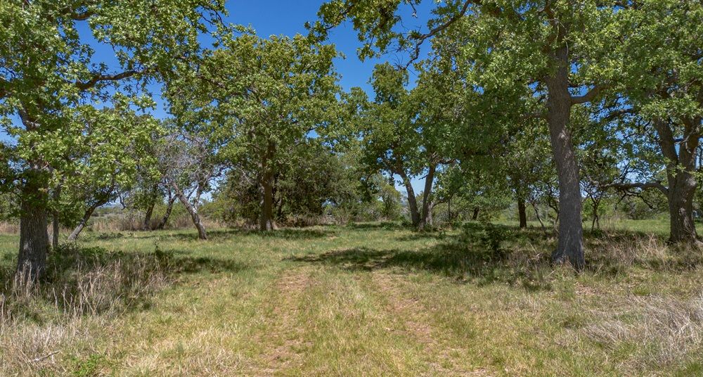 property-image-5