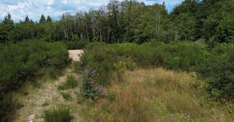 property-image-4