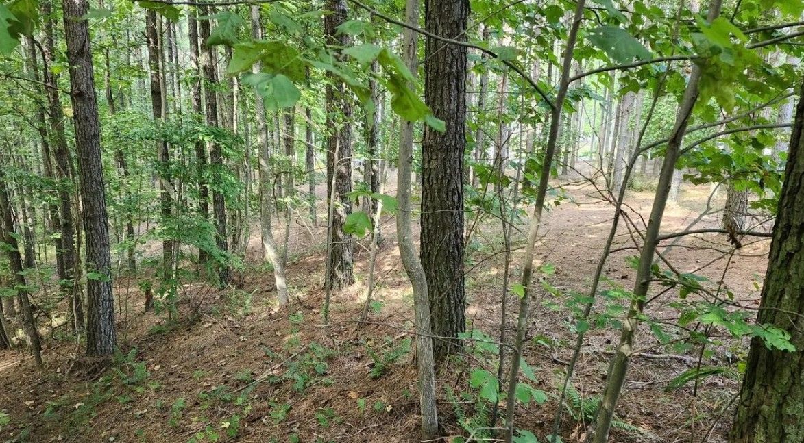 property-image-4