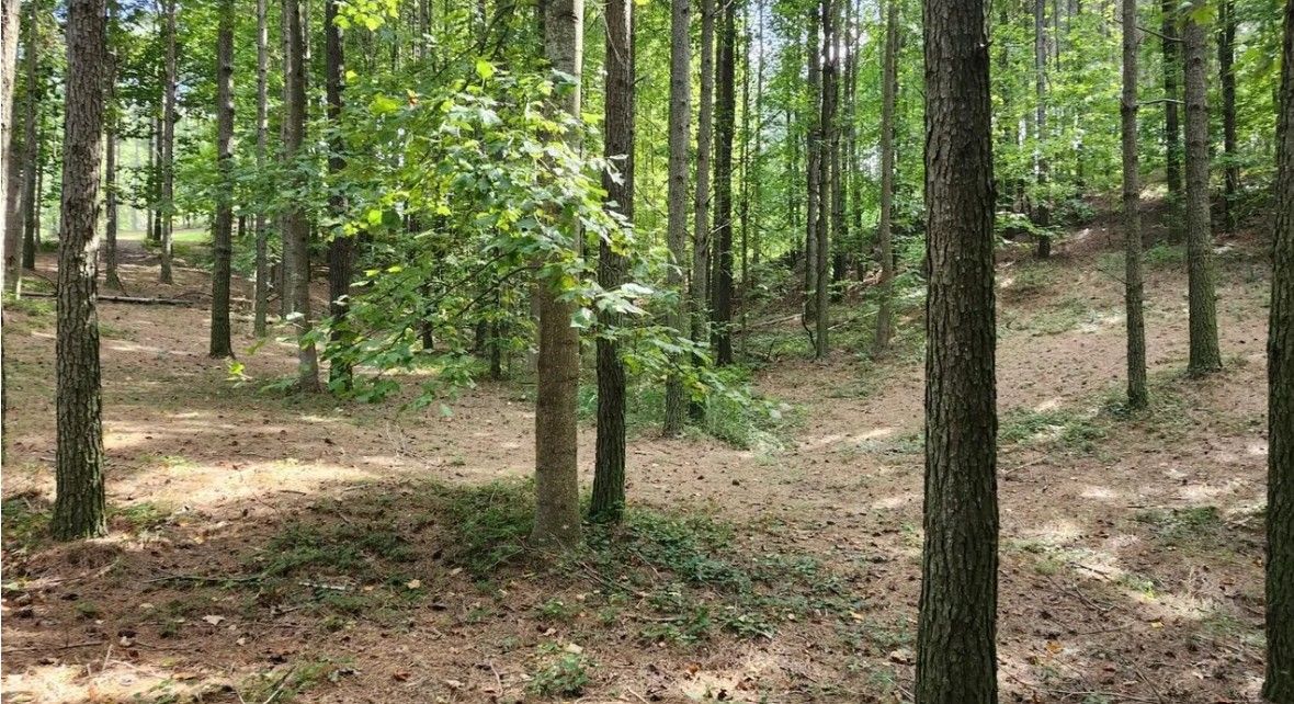 property-image-6