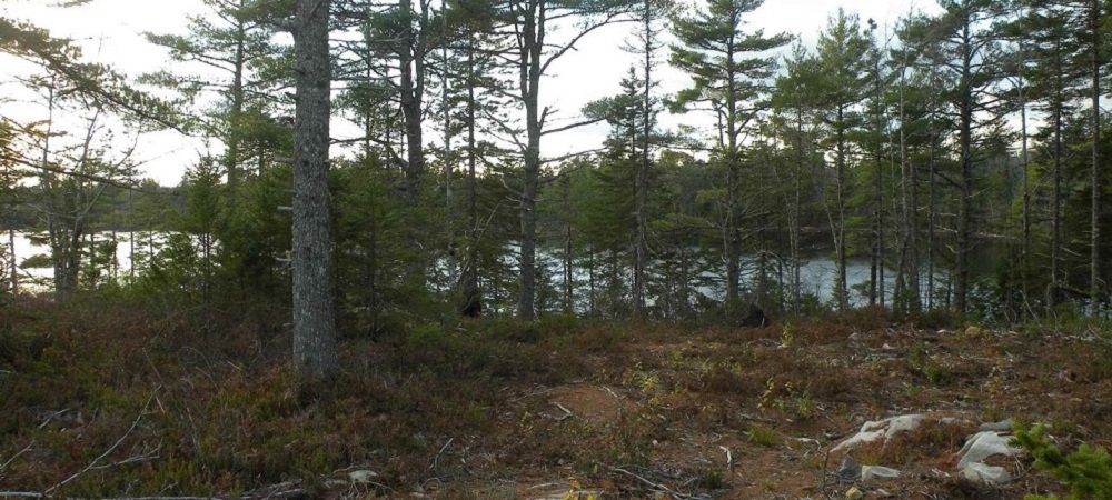 property-image-2