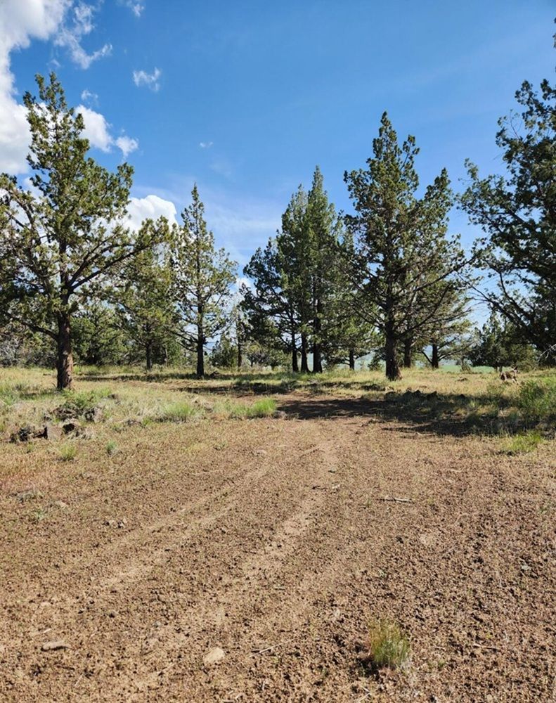Hummingbird Lane Lot 5