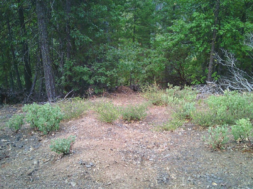 Xox Ditch Creek Road