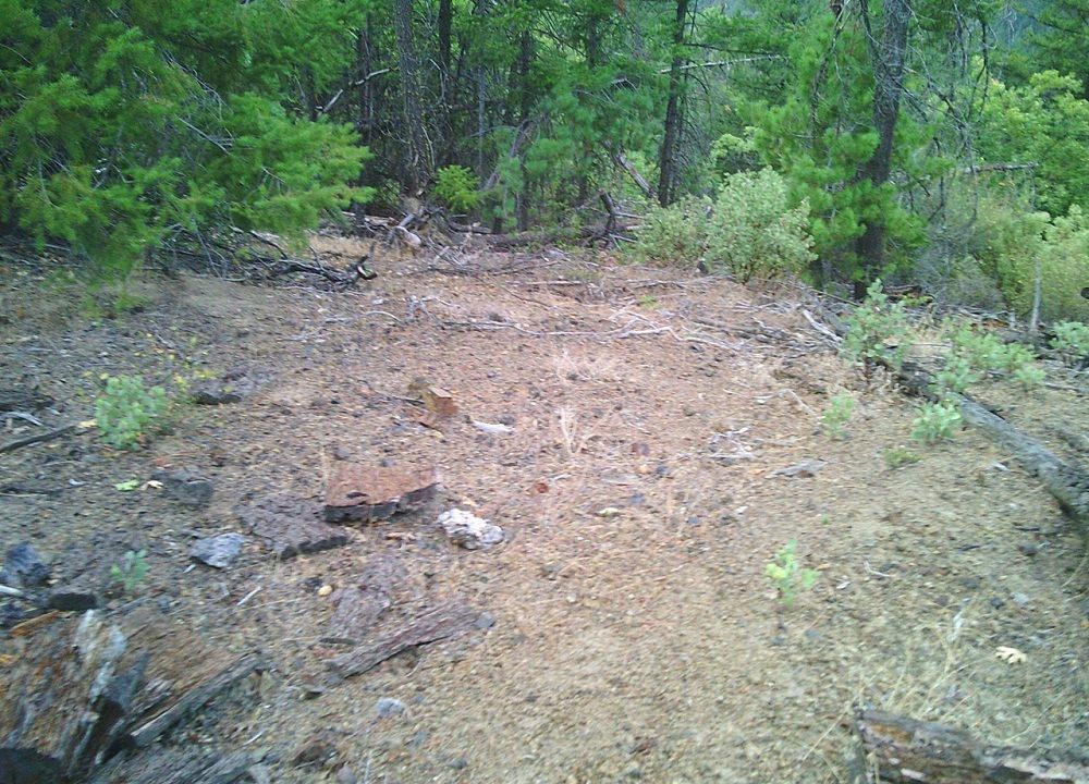 property-image-4