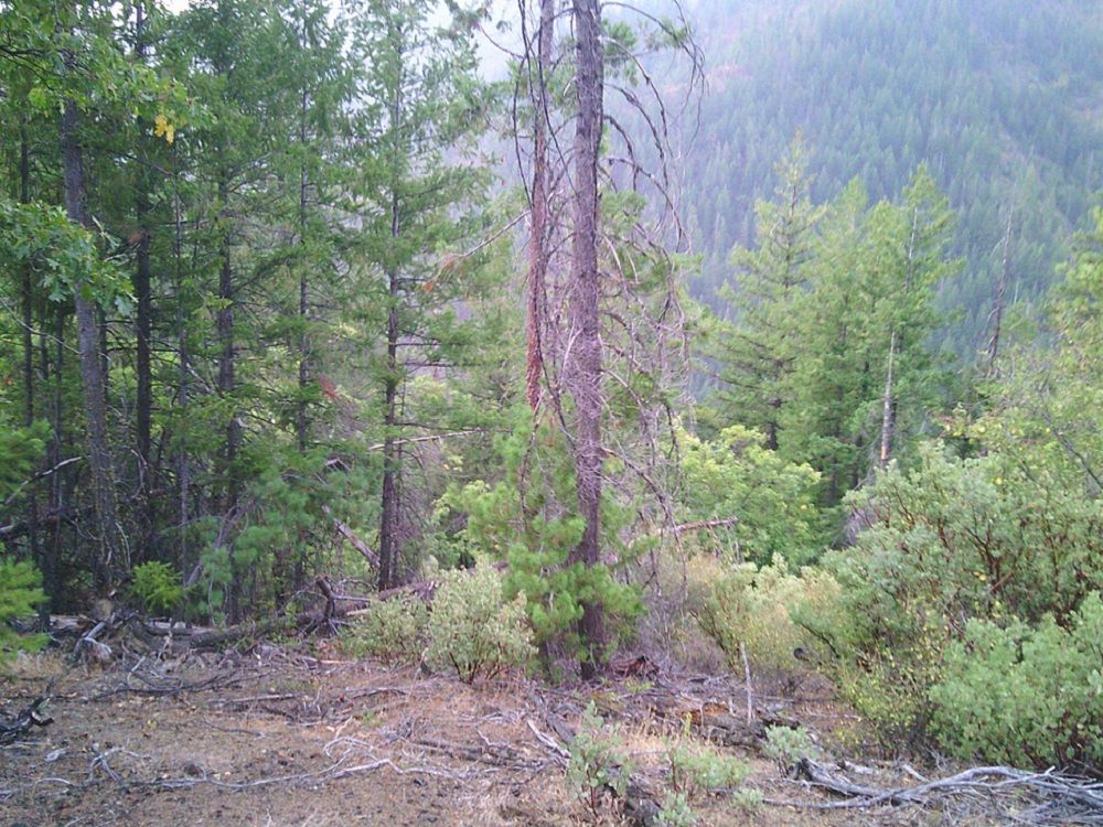 property-image-6