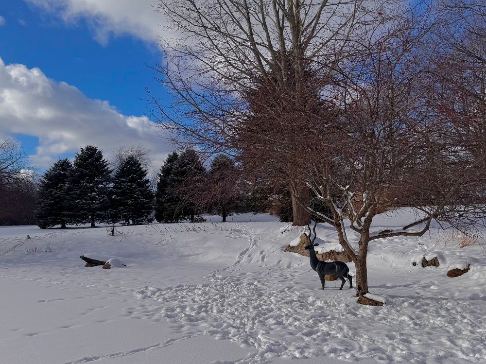 property-image-7