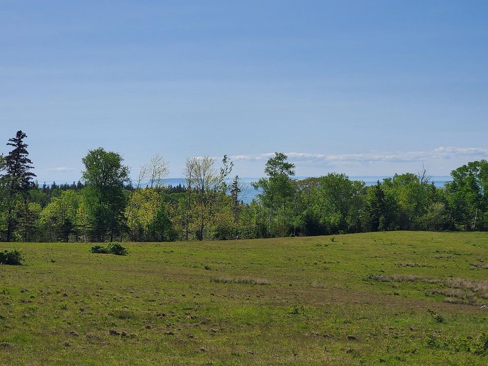 60 Acres Of Opportunity