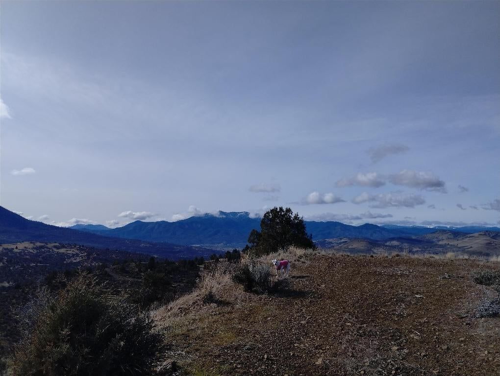 property-image-3
