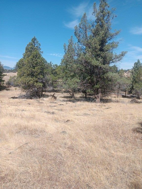 property-image-3