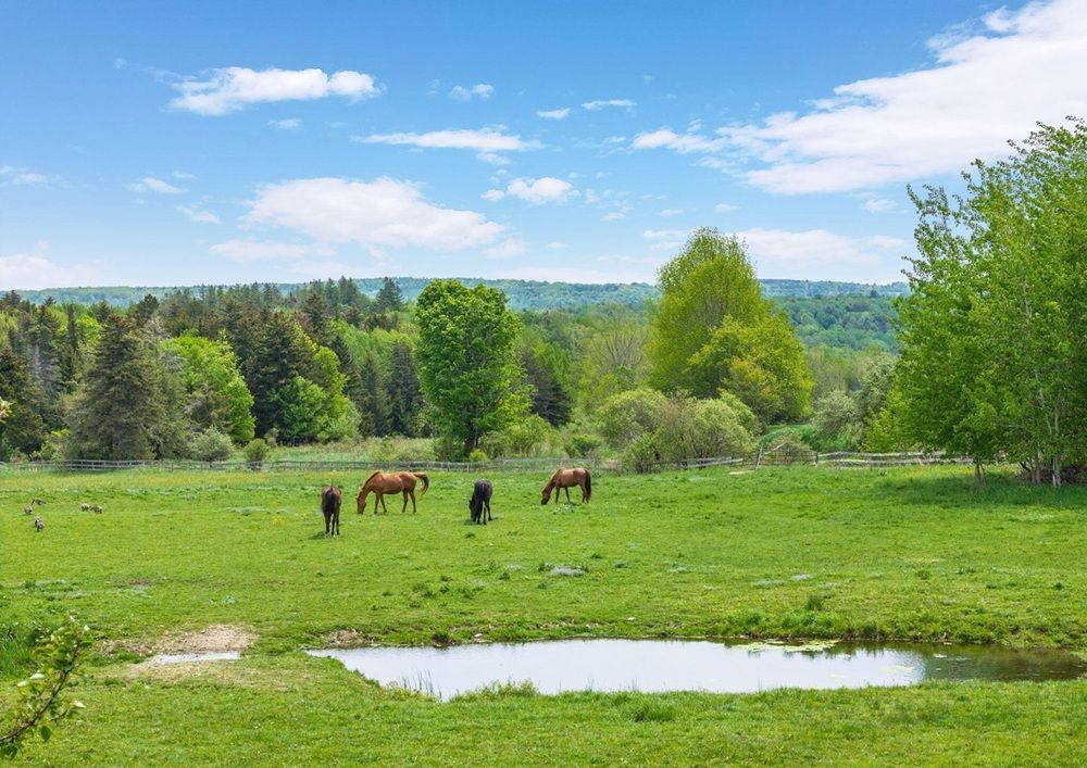 Bring Your Horses Home To This Country Retreat On 15 Acres!