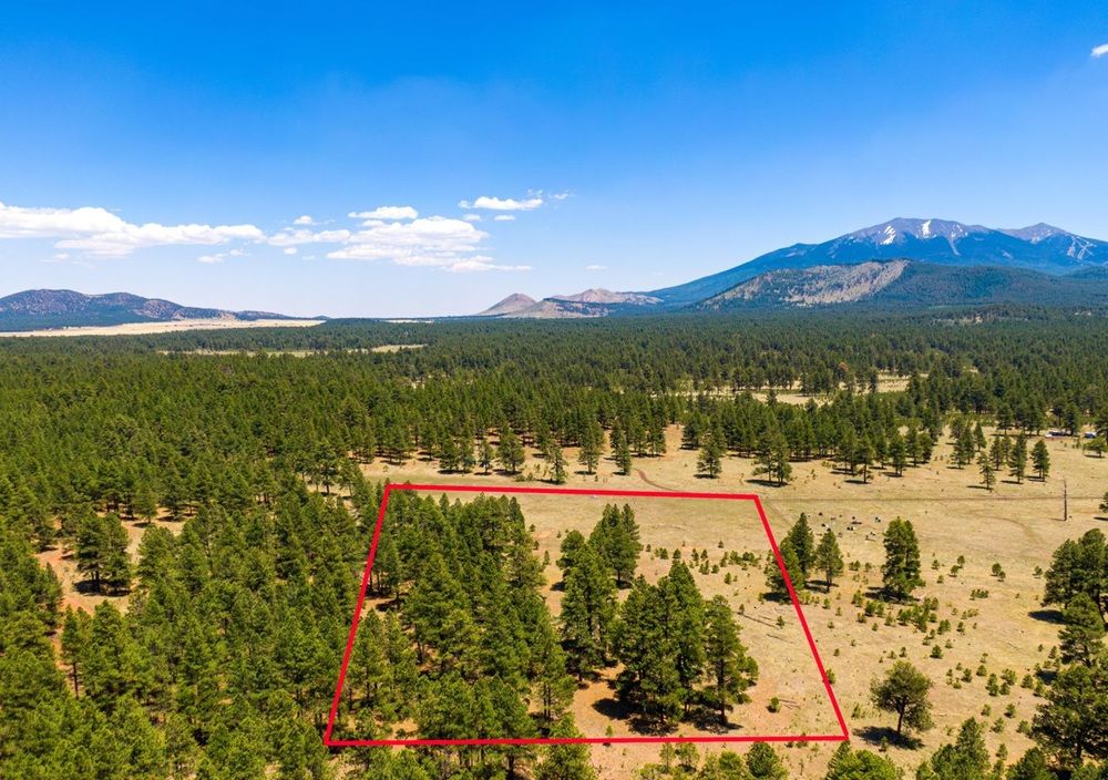 The Flagstaff Dream, Found