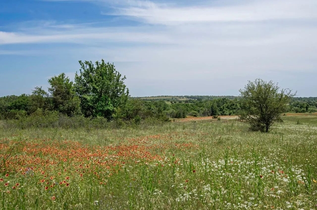 property-image-3