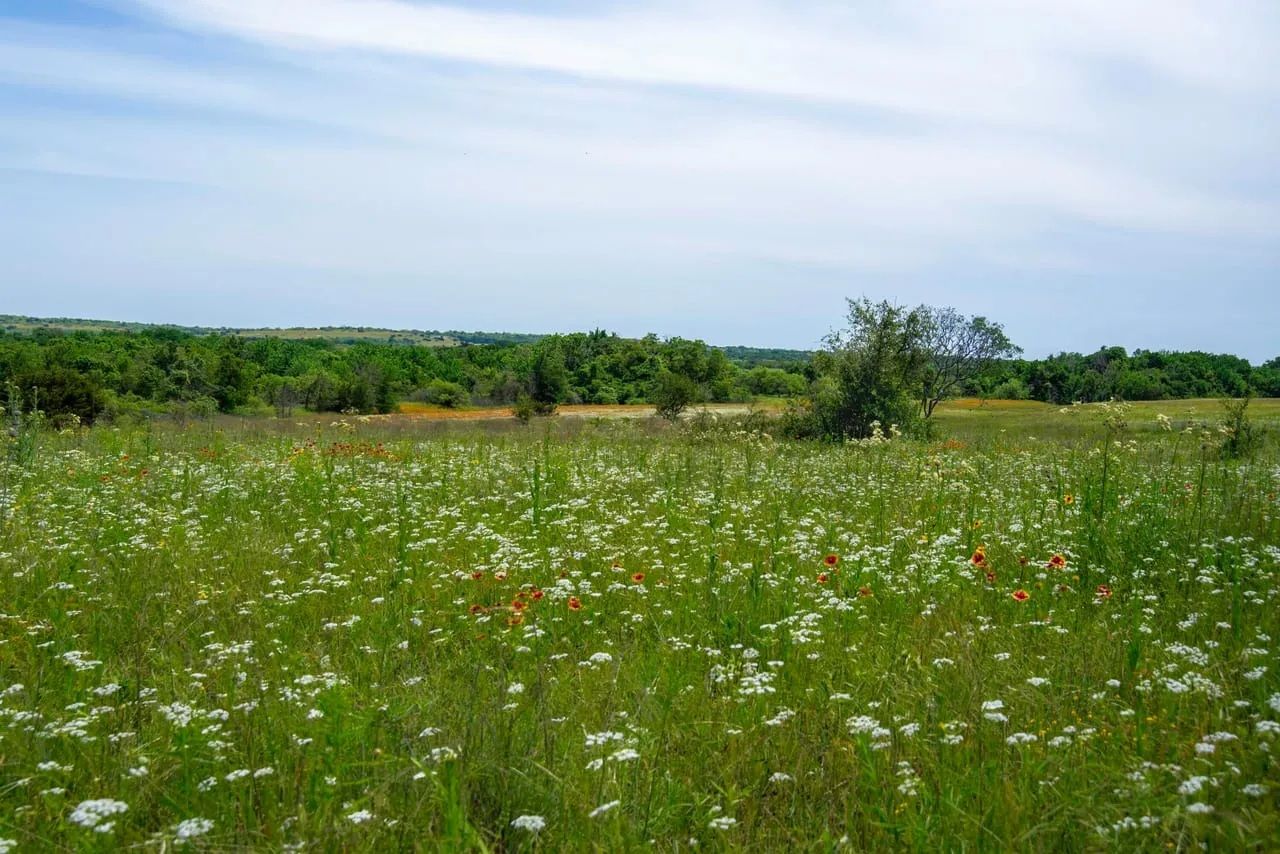 property-image-4