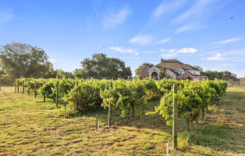 property-image-2