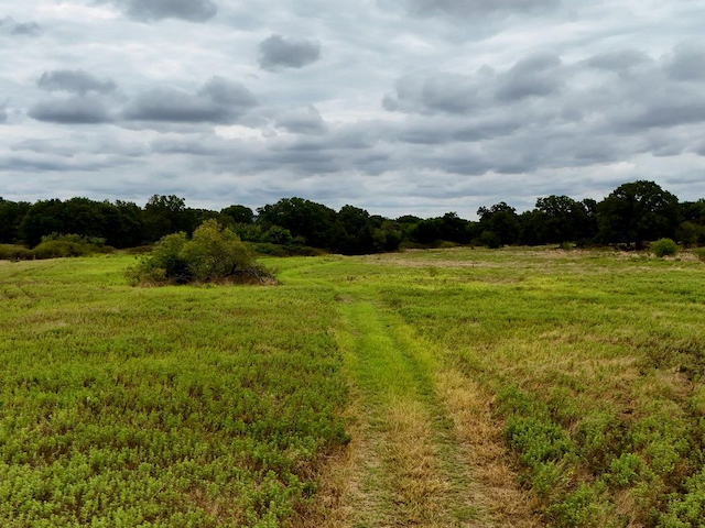 property-image-2